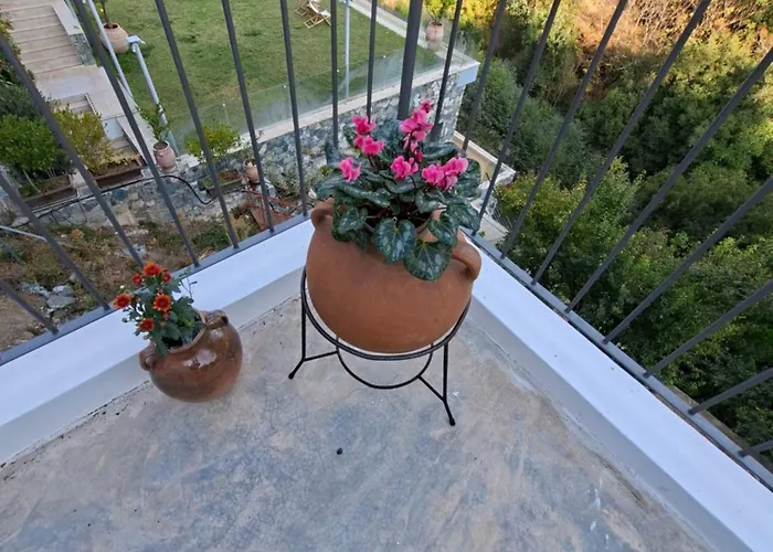 Cecilia Traditional House-suites Appartamento *