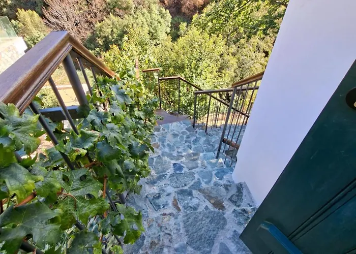 Cecilia Traditional House-suites