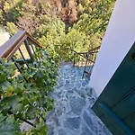 Cecilia Traditional House-suites