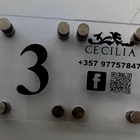 Apartament Cecilia Traditional House-suites Kalopanajotis