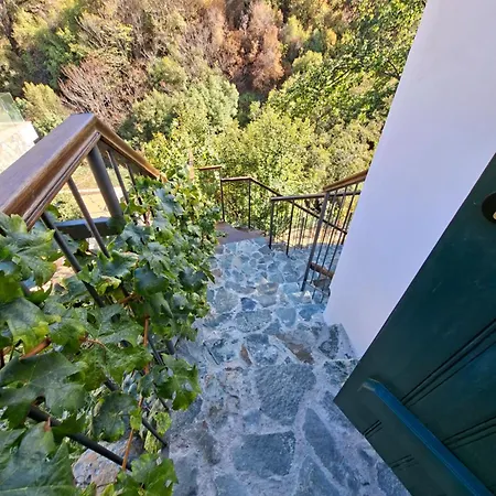 Cecilia Traditional House-suites